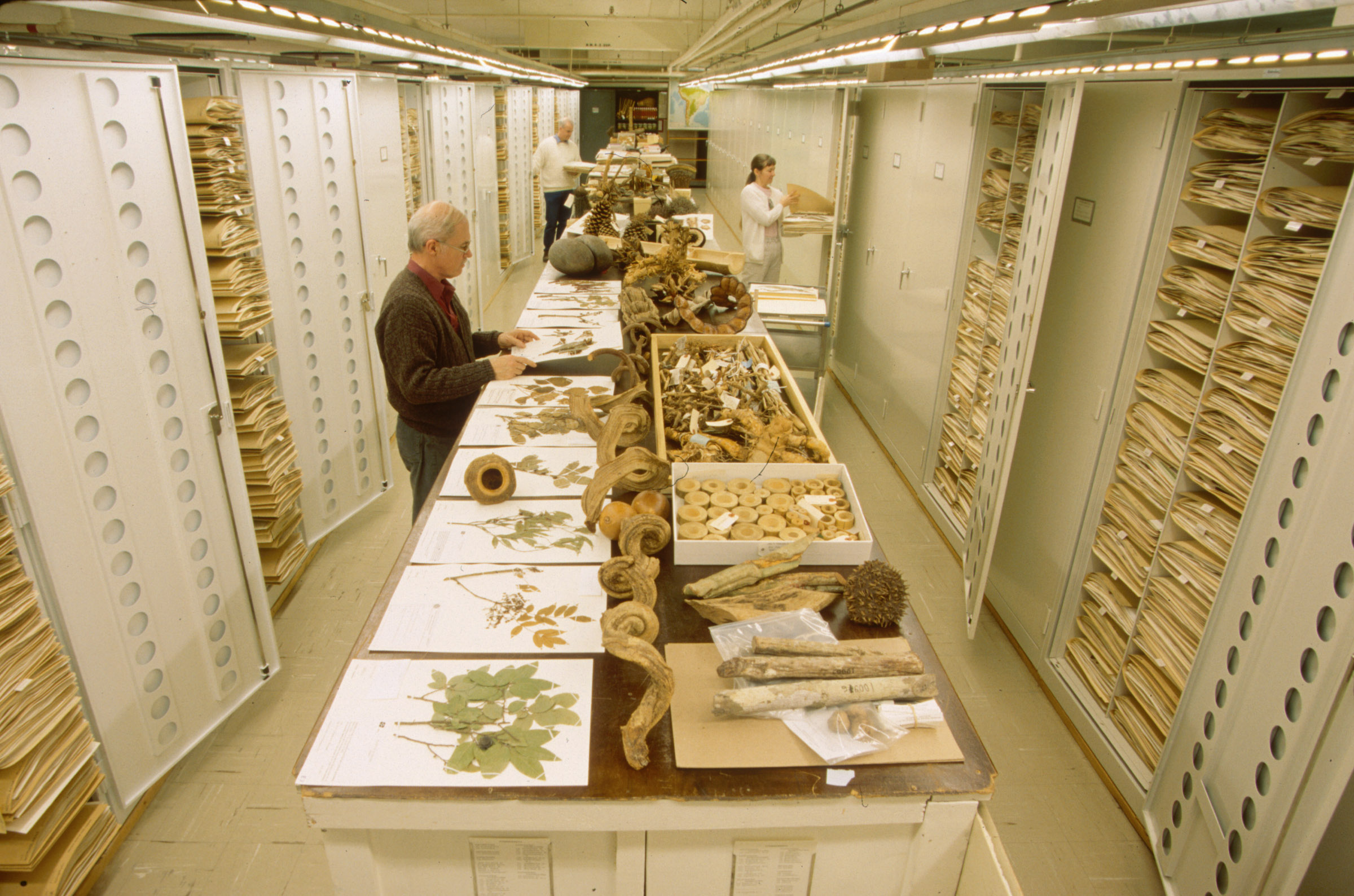 U.S. Herbarium
